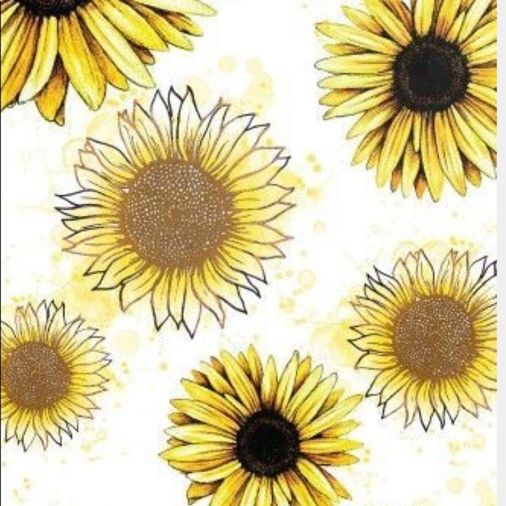 Meet your Posher, Lariah